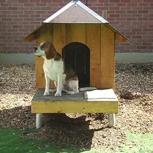 durable ground screw durable ground screw